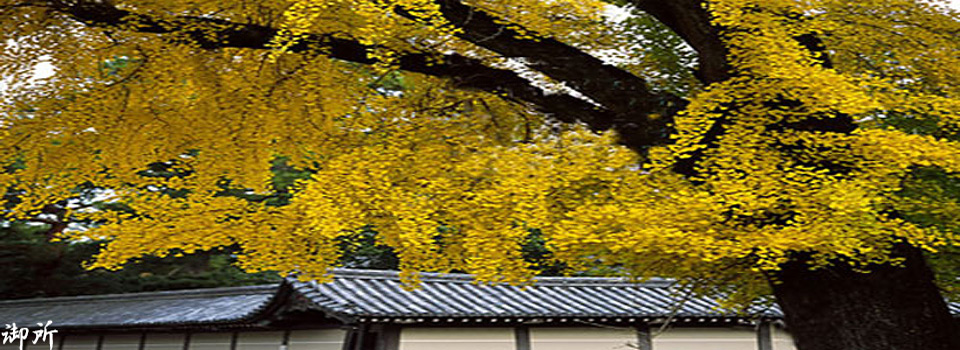䏊